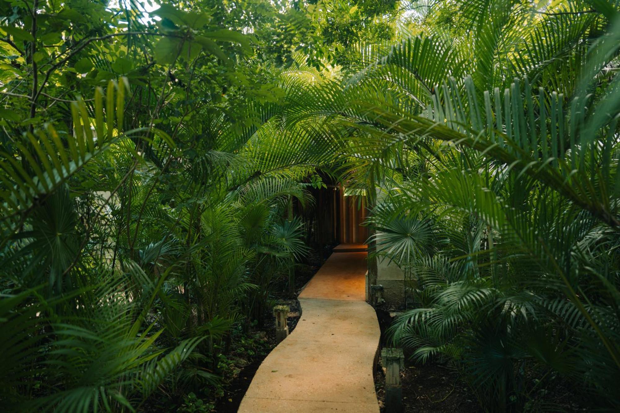 Отель Aldea Coba An Escape Boutique Experience Экстерьер фото